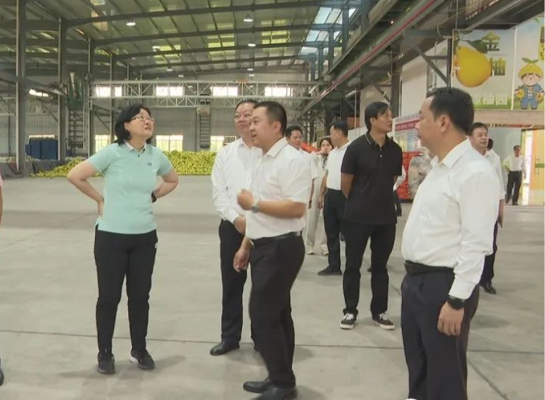 微信图片_20250318124620.png